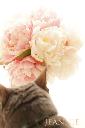 Floral　Harmony♪